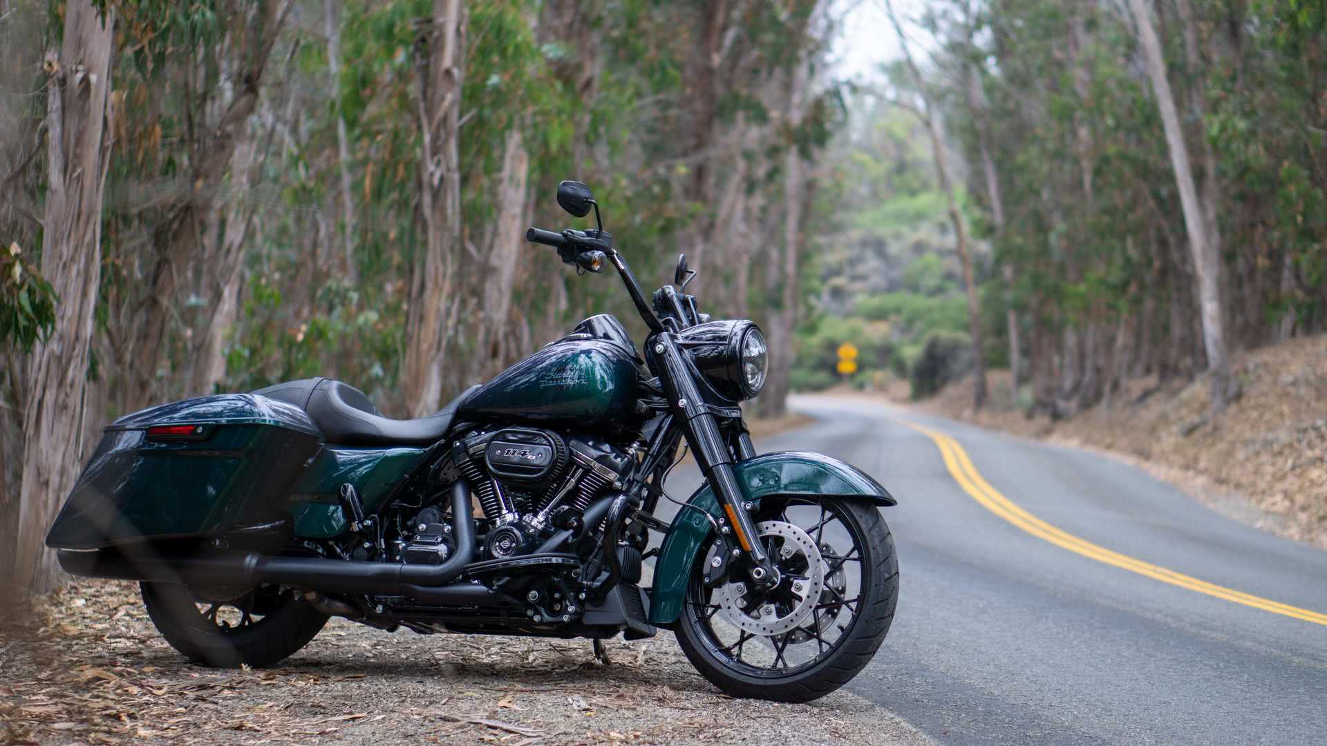 Harley Davidson Road King Special 2022